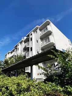 志陽ハイツ青木【4階】の外観