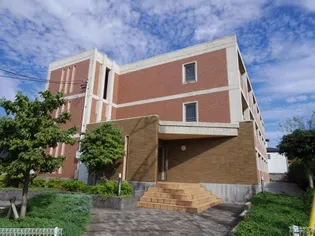 オリーブ コートの画像