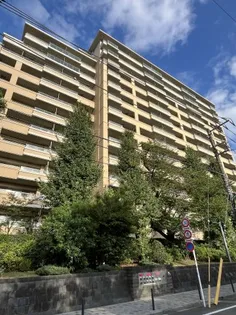 桜上水ガーデンズの画像