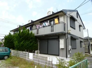 あすなろの画像