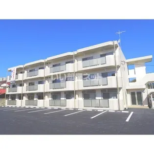 ユーミーセレッソの画像