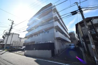 ヨコハマフィズの画像