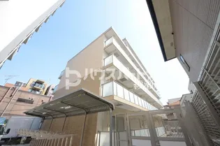 NEOグレイス綾瀬の画像