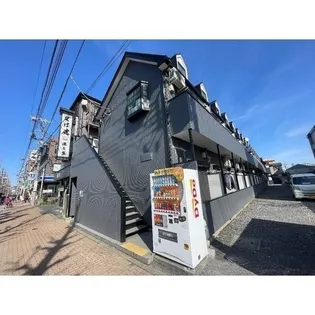 デイジーの画像