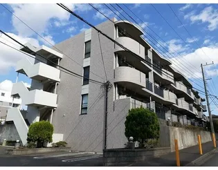 アルドーレ芹沢の画像