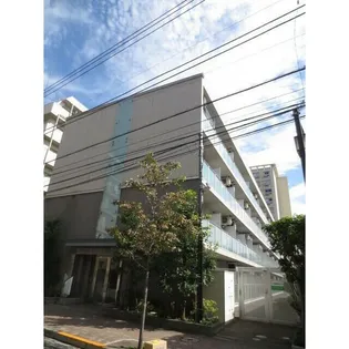 MARK FORESTの画像