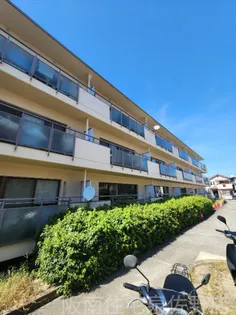 コーポ上町の画像