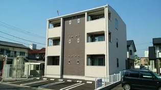 パール Sの画像