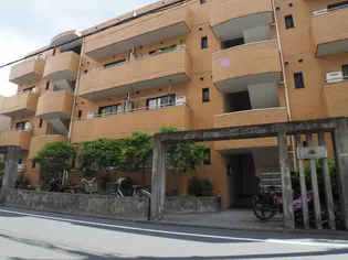 砧グリーンロイヤルの画像