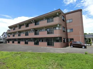 エテルネルソレイユIIIの画像