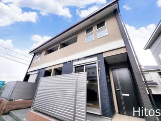 SUN CASA 向日葵の画像