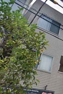 千本木ビル【3階】の外観