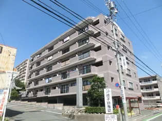 ベルジュ成子坂【4階】の外観