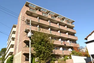 プルメリアガーデンの画像