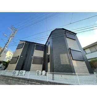 オネットステラの画像