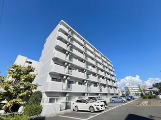 アイランド小野山の画像