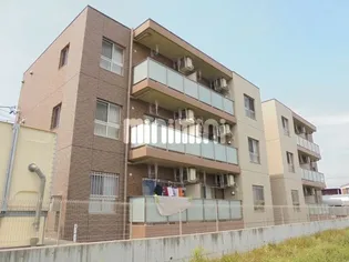 メッシス マヨコの画像