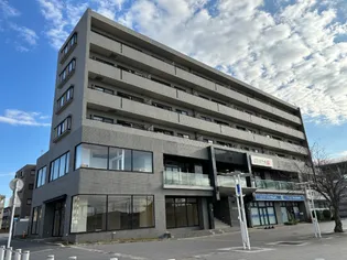 モデルノの画像