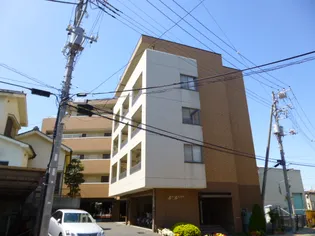 ルペール ネコザネの画像