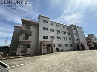 アメリアの画像