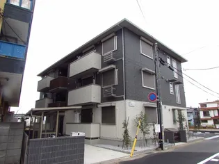 トップXIの画像