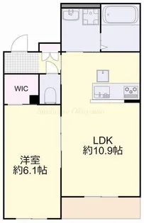 chaleur新保【1階】の間取り