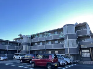 グレイスさつきの画像