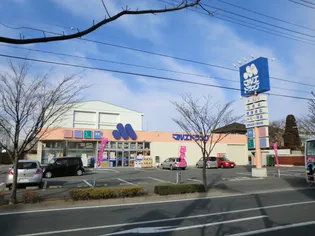 ハートフルライフIWASAIII【3階】の周辺