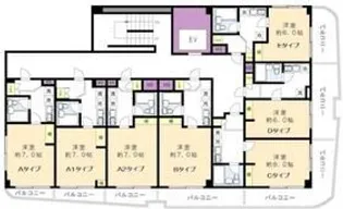 グランデール北野【8階】の間取り