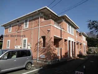 サンフラワーBの画像