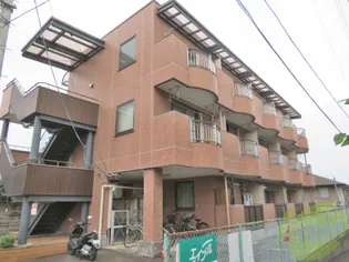 ヴェラ18の画像