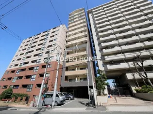 大阪府大阪市中央区中寺2【マンション】の外観