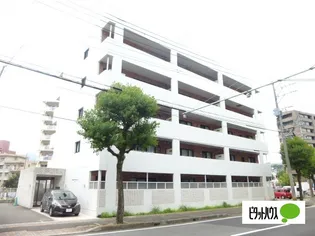 modern palazzo 文教【5階】の外観