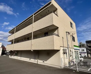 アプリコットの画像