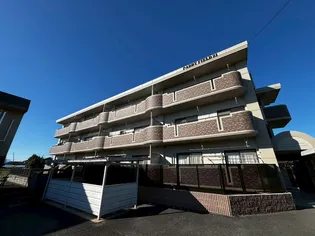 パディーフィールド21の画像