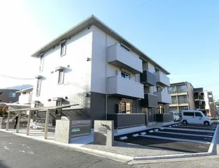 アムールの画像