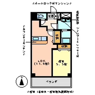 メゾン・ド・ルミエール【5階】の間取り