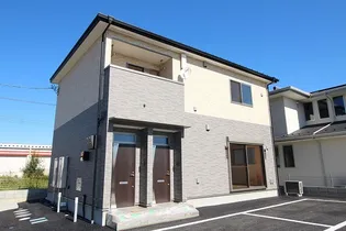 フリージアの画像