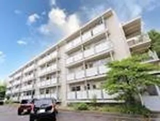 ビレッジハウス平田2号棟【4階】の外観