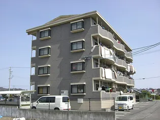 ENTRAINの画像