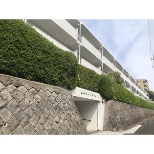 高井戸ハイホームA棟の画像
