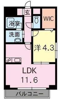 ドルチェ新町【4階】の間取り