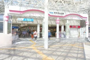 新百合ヶ丘レガートプレイス【7階】の周辺