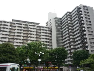 コア・スターレ西大井【10階】の外観