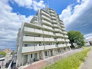 パレ ヴェルジェ アイの画像