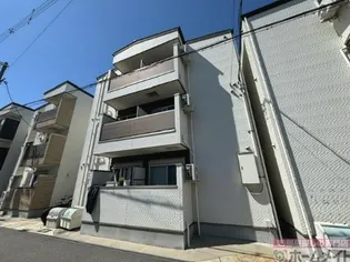 YS MAISON ECRUの画像