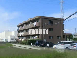 ソル レヴェンテの画像