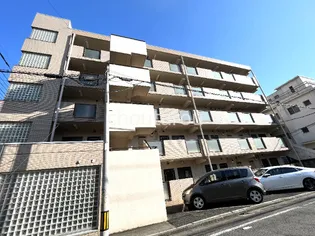 サクシィードの画像