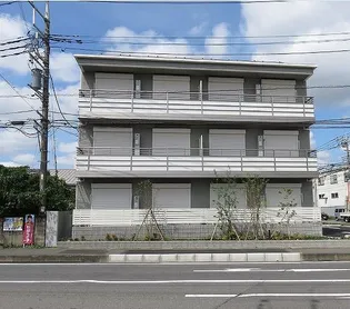 グレイス ソフィアの画像