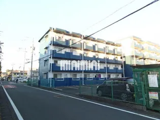 ライブ小島IIの画像